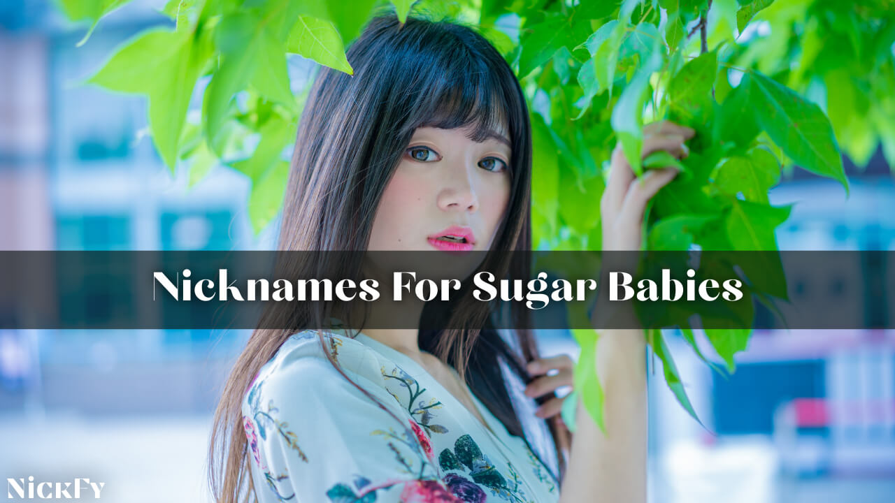 Sugar Baby Nicknames 363 Cool Cute Nicknames For Sugar Babies NickFy