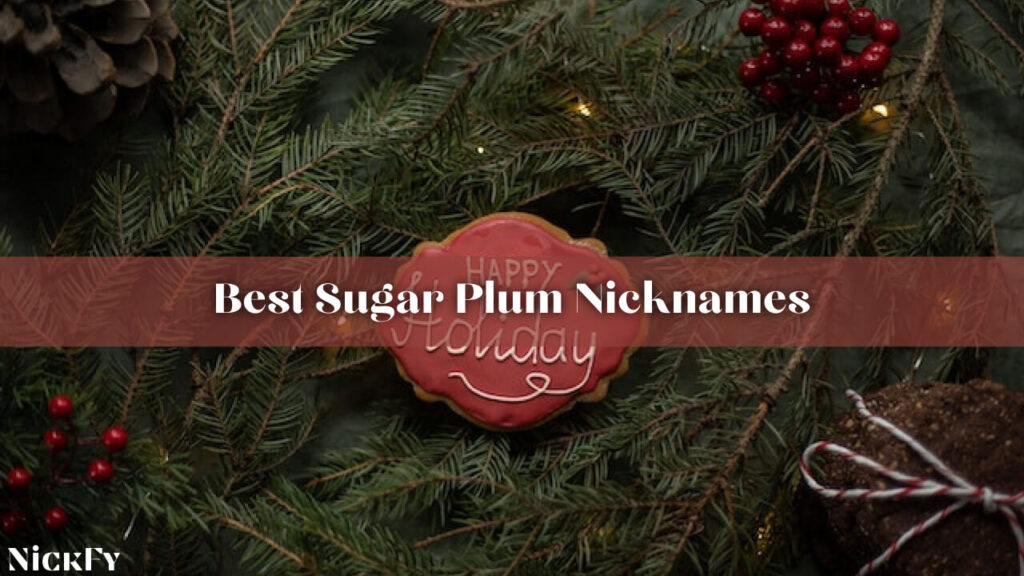 Best Sugar Plum Nicknames