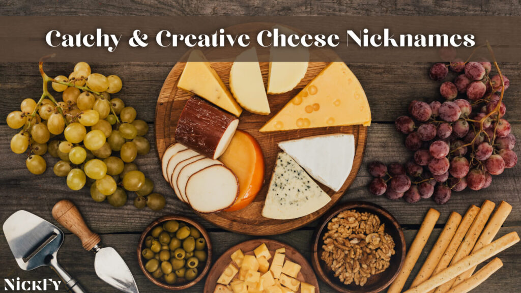 Catchy & Creative Cheese Nicknames