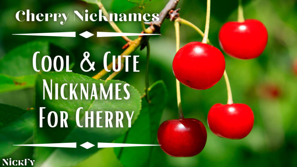 Cherry Nicknames | 250+ Cool & Cute Nicknames for Cherry