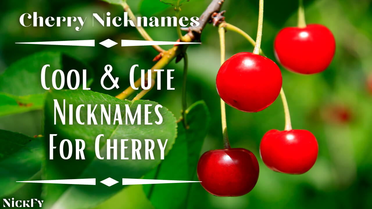 Cherry Nicknames 250 Cool Cute Nicknames For Cherry NickFy