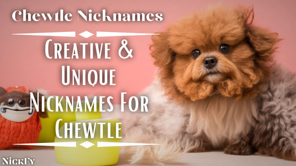 Chewtle Nicknames | Creative & Unique Nicknames For Chewtle