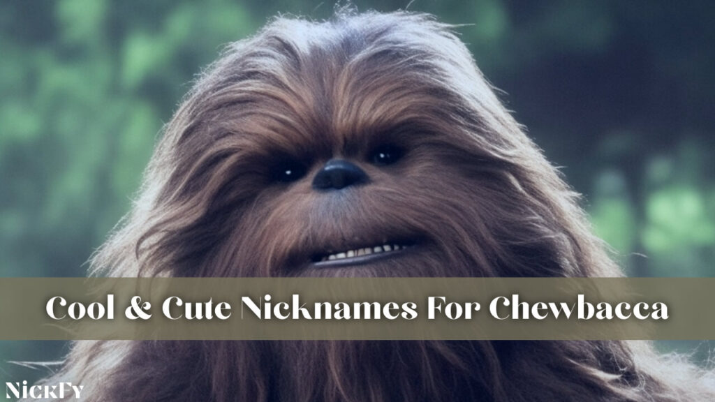 Cool & Cute Nicknames For Chewbacca