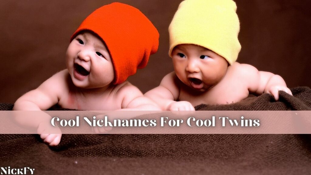 Cool Nicknames For Twins