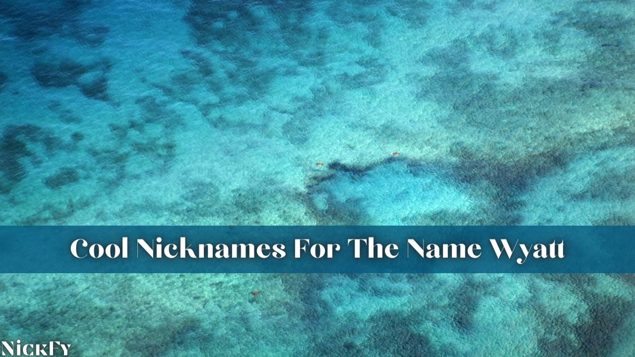 nicknames-for-wyatt-42-funny-cute-nicknames-for-name-wyatt-nickfy