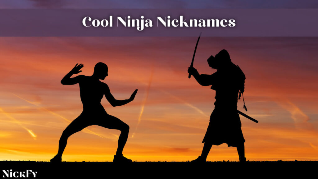 Cool Ninja Nicknames