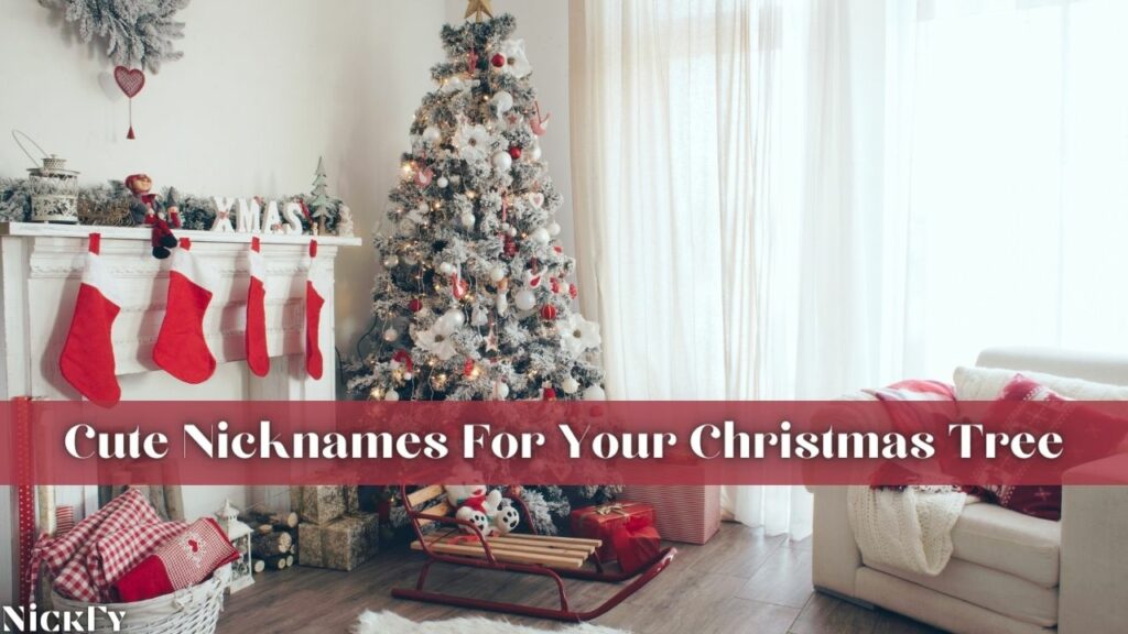 Cute Christmas Tree Nicknames For Your Gorgeous Looking Tree