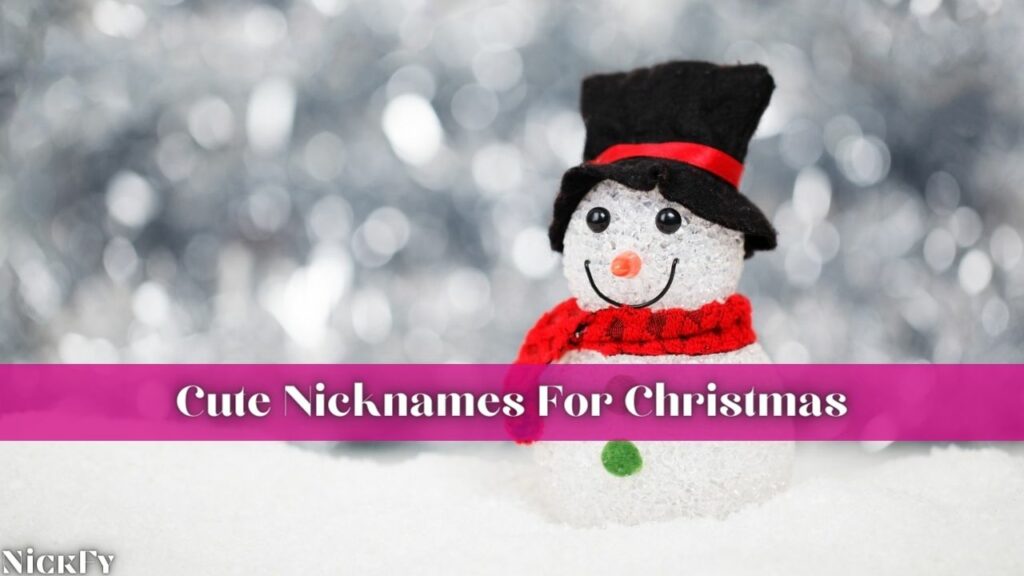 Cute Christmas Nicknames For Christmas