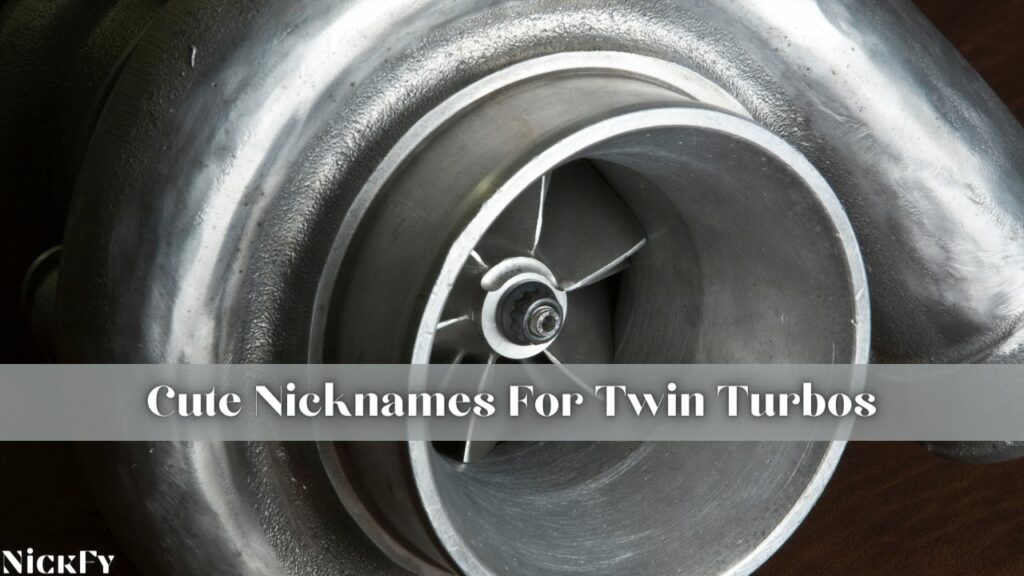 Cute Nicknames For Twin Turbos