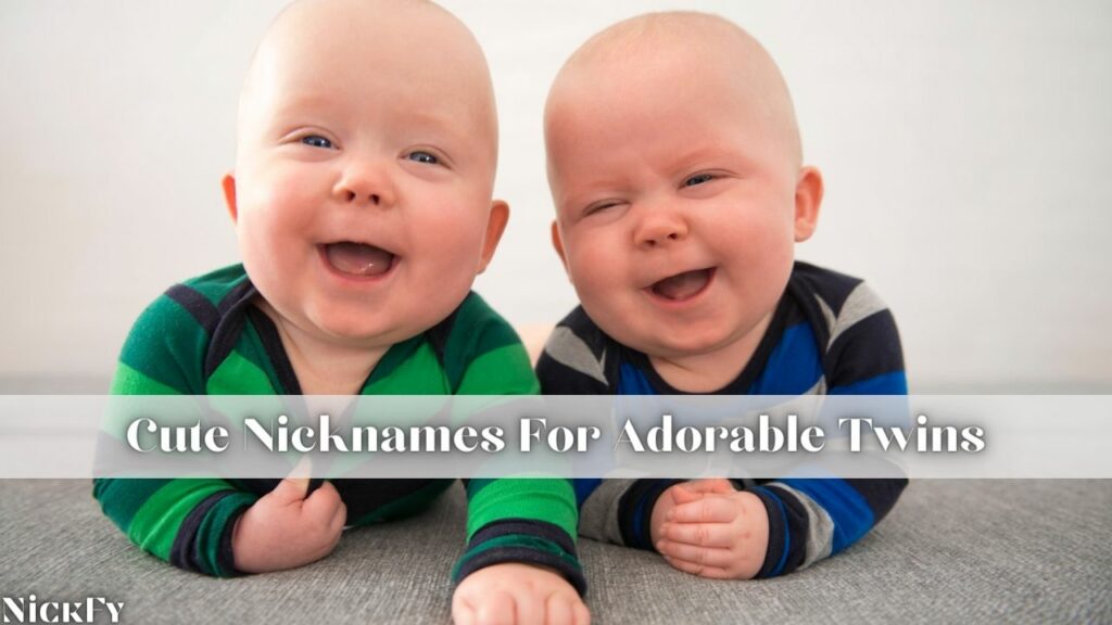Cute Nicknames For Twins