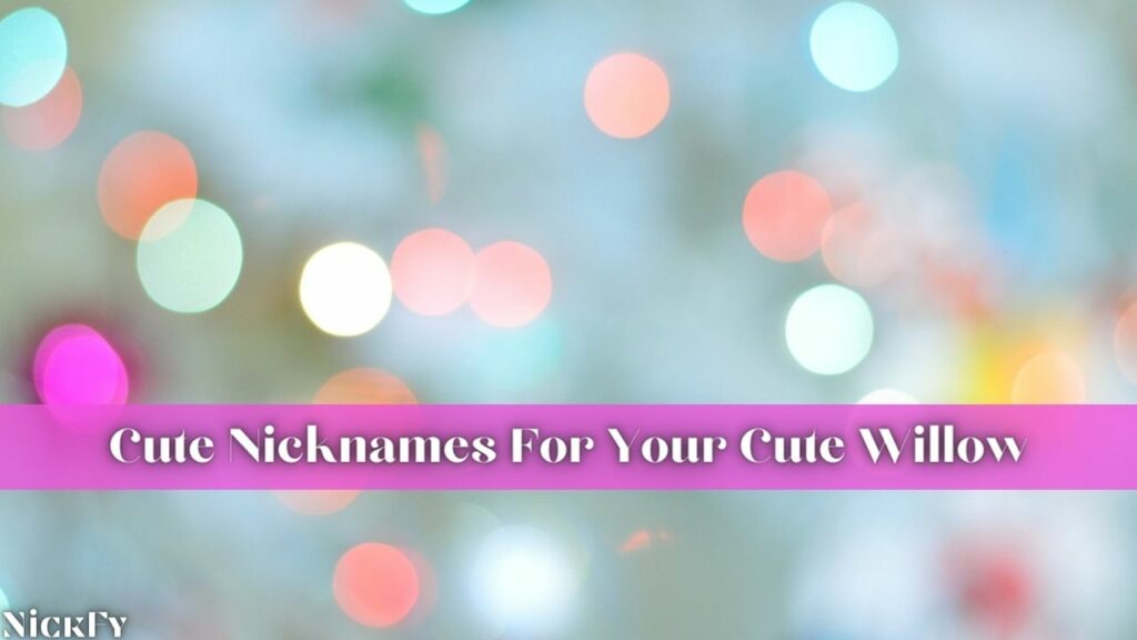 Cute Nicknames For The Name Willow
