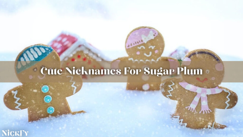 Cute Nicknames For Sugar Plum
