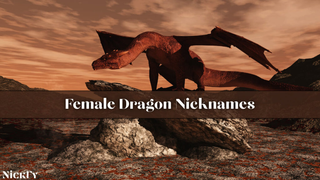 Female Dragon Nicknames