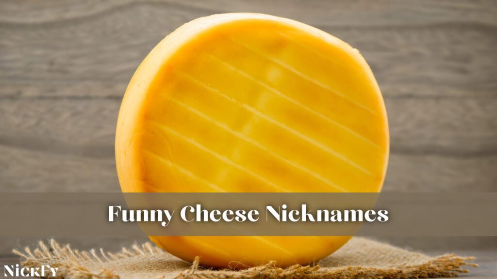 Funny Cheese Nicknames