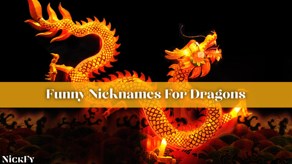 Funny Nicknames For Dragons