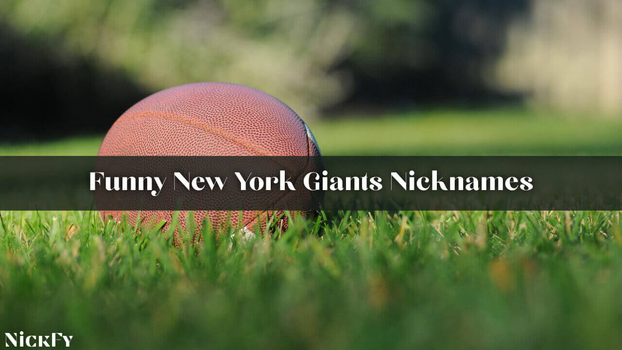Funny NY Giants Nicknames For New York Giants Team