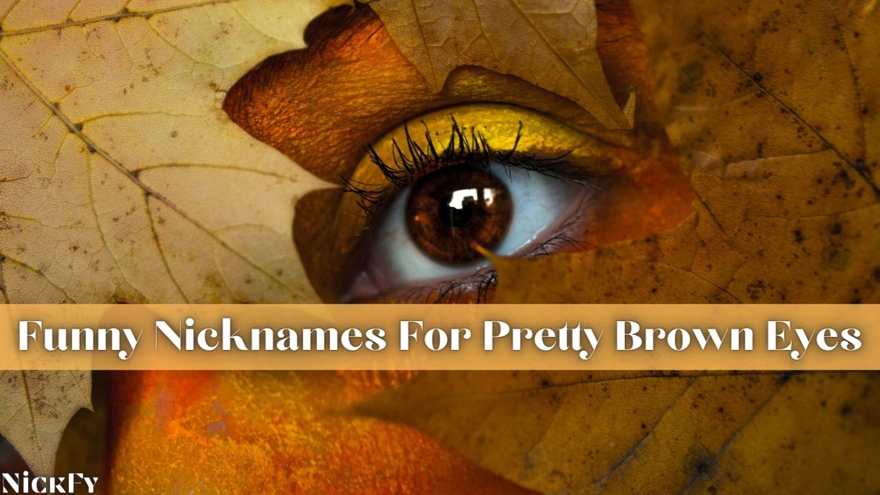 brown-eyes-nicknames-55-cool-cute-nicknames-for-brown-eyes-nickfy