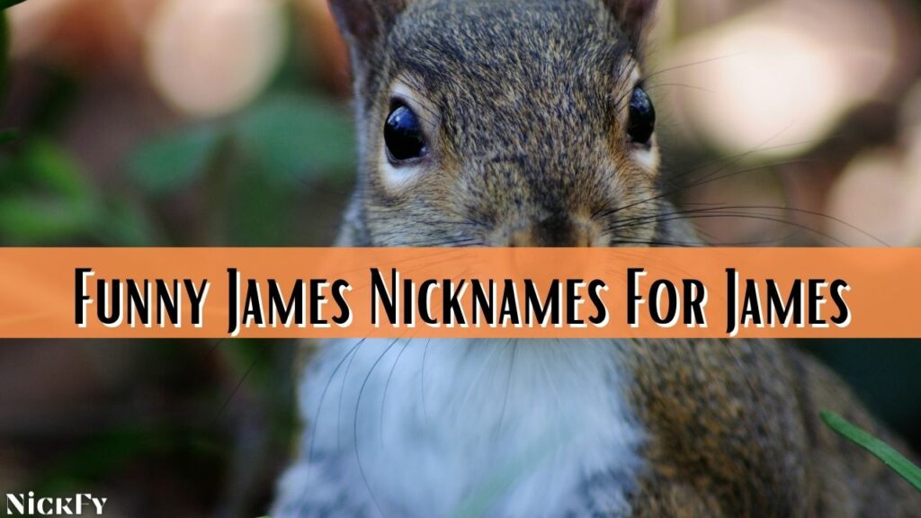 Funny James Nicknames for Jim and  james