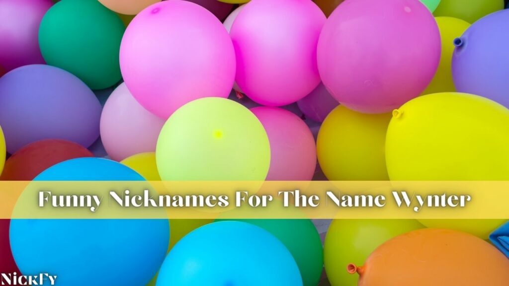 Funny Nicknames For The Name Wynter