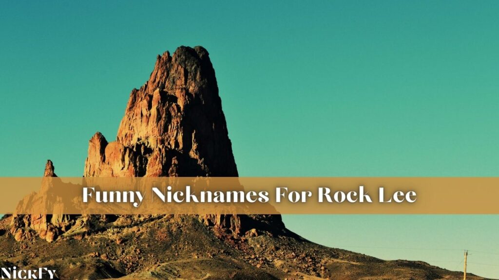Funny Nicknames For Rock Lee