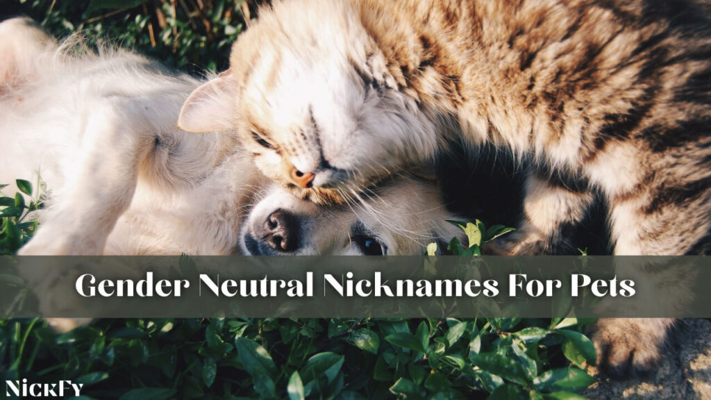 Gender Neutral Nicknames For Pets