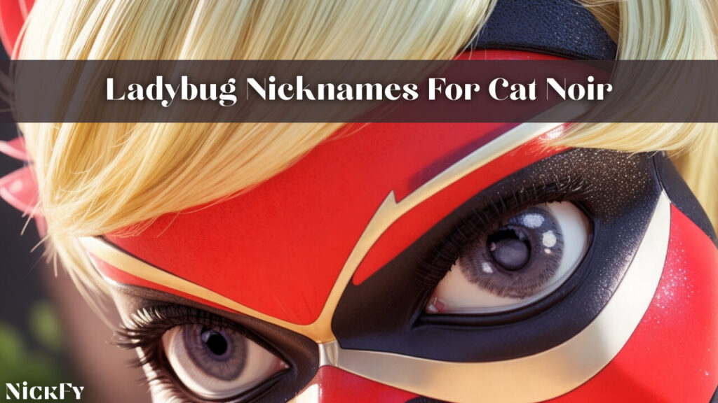 Ladybug Nicknames For Cat Noir