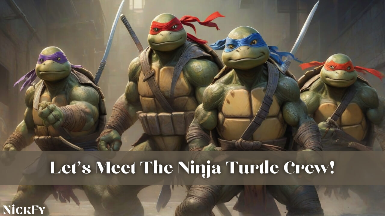 Let's Meet The Ninja Turtle Crew!