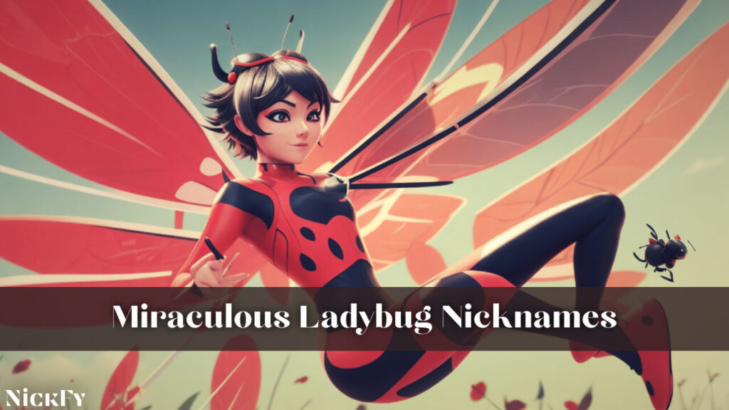 Miraculous Ladybug Nicknames