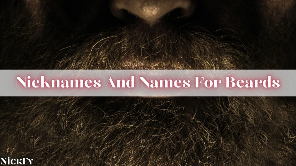 Beard Nicknames And Names For Beard