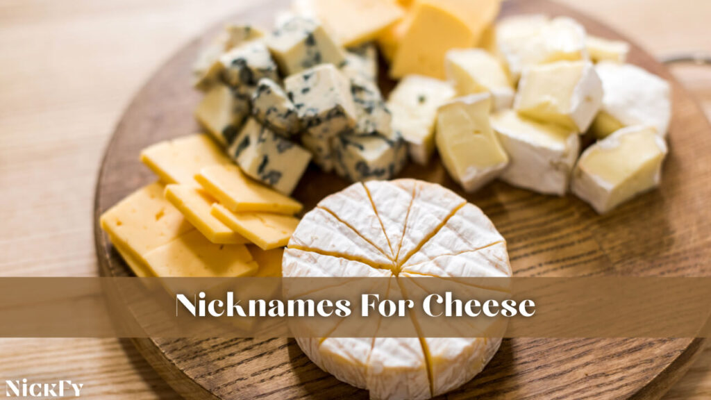 Cheese Nicknames 414+ Funny & Cool Nicknames For Cheese NickFy