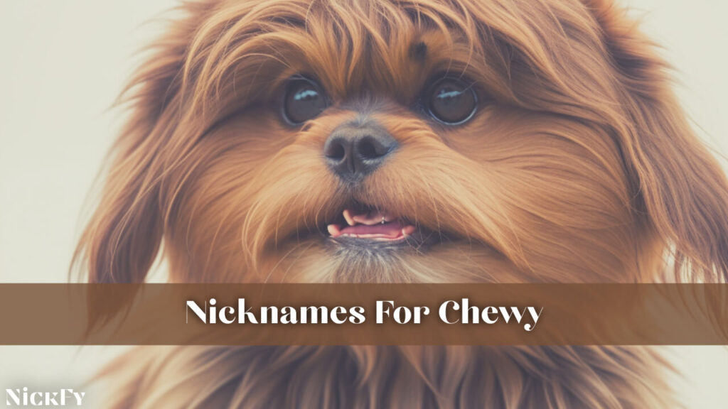 Nicknames For Chewy