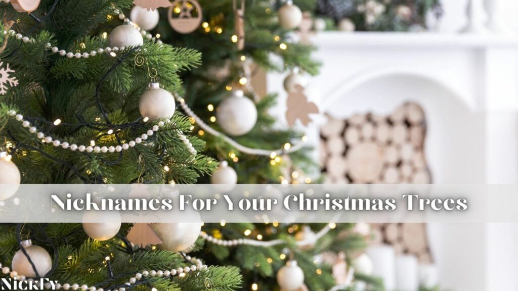 Nicknames For Christmas Trees