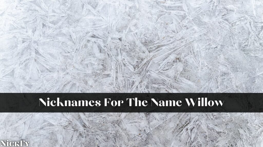 Nicknames For The Name Willow