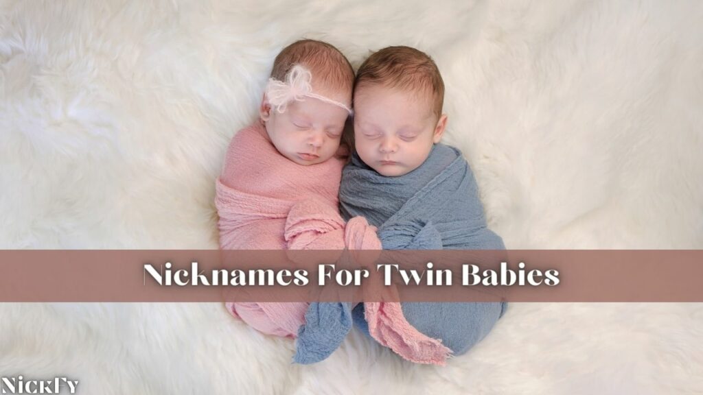 Nicknames For Twin Babies