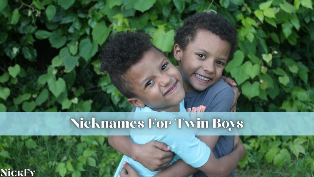 Nicknames For Twin Boys