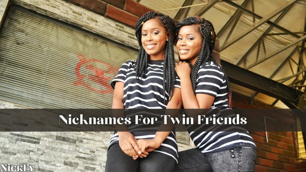 Nicknames For Twin Friends