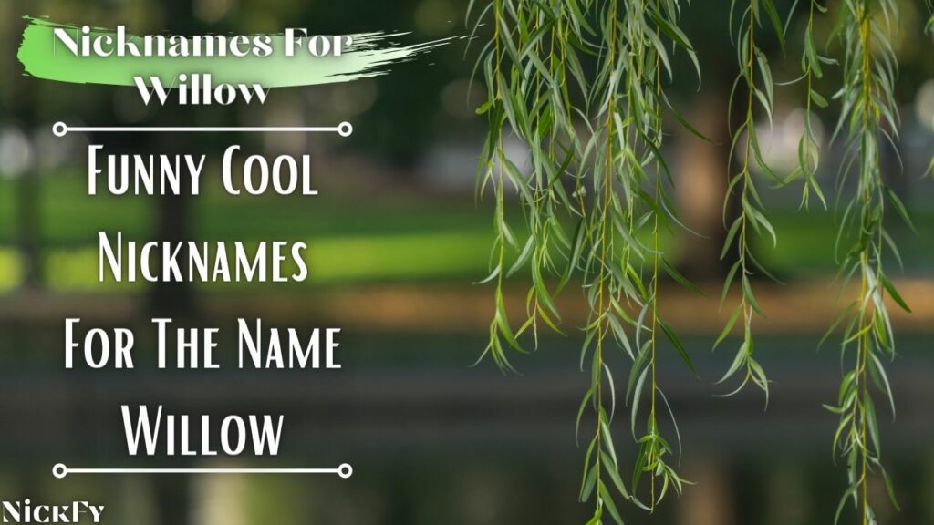 Nicknames For Willow | Funny Cute Nicknames For Name Willow