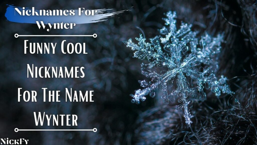 Nicknames For Wynter | Funny Cute Nicknames For The Name Wynter
