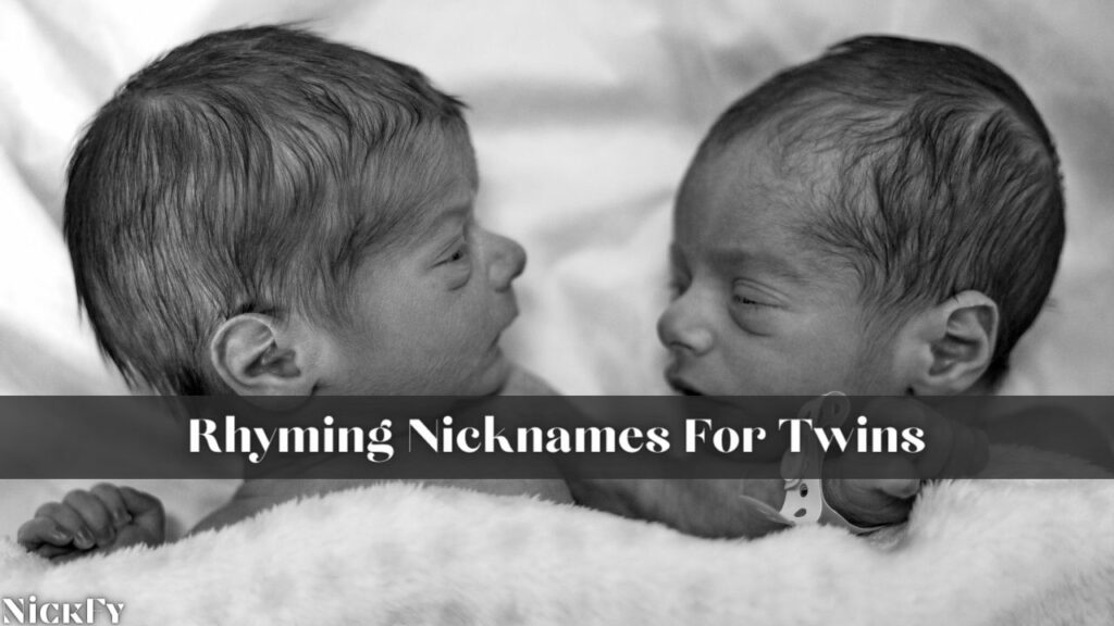 Rhyming Nicknames For Twins