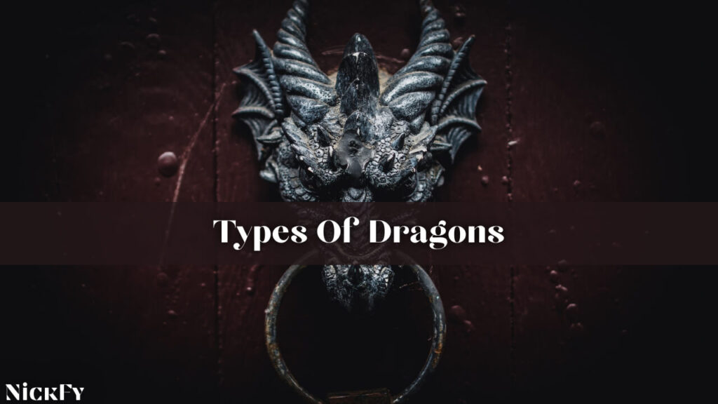 Type Of Dragons