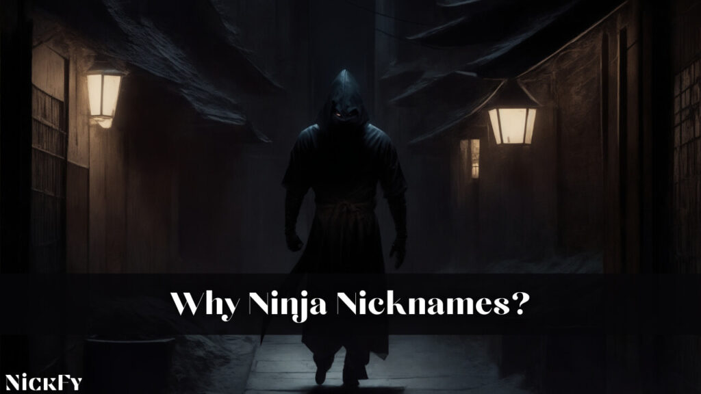 Why Ninja Nicknames?